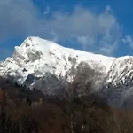 Tisoi *