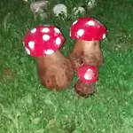 לינה וארוחת בוקר Tisoi *