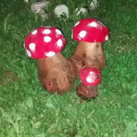 Bed & Breakfast Tisoi *