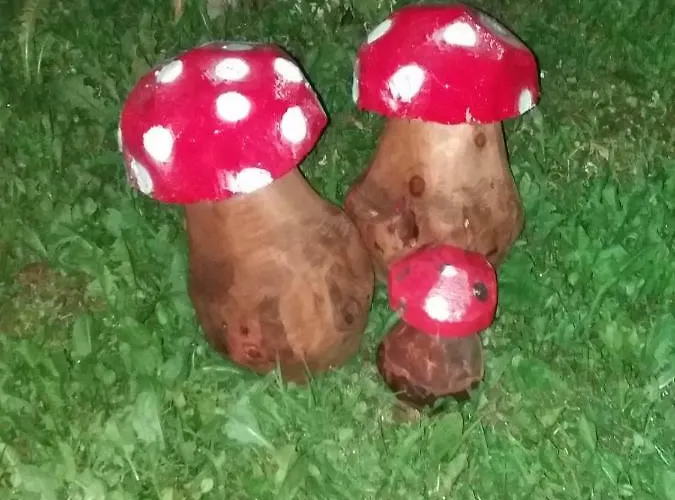 Bed & Breakfast Tisoi *